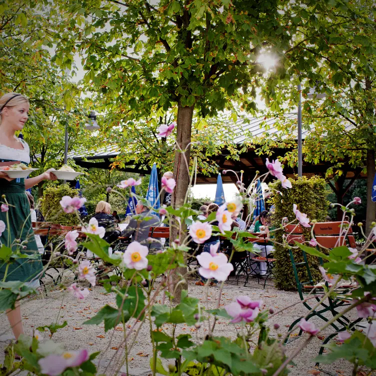 Alte Galerie/Biergarten