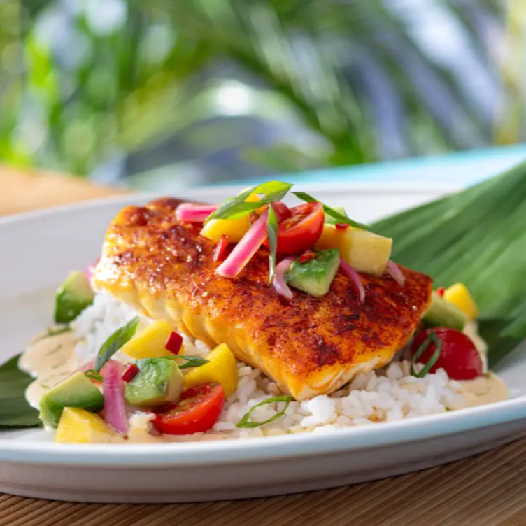 Bahama Breeze – Ft. Lauderdale – Sunrise