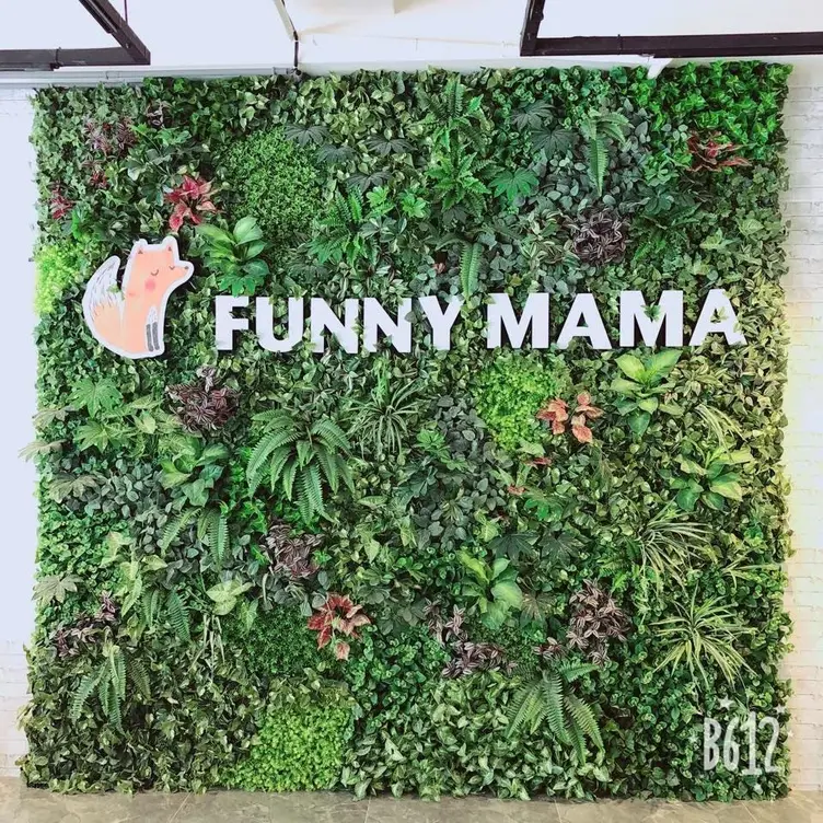 Funnymama