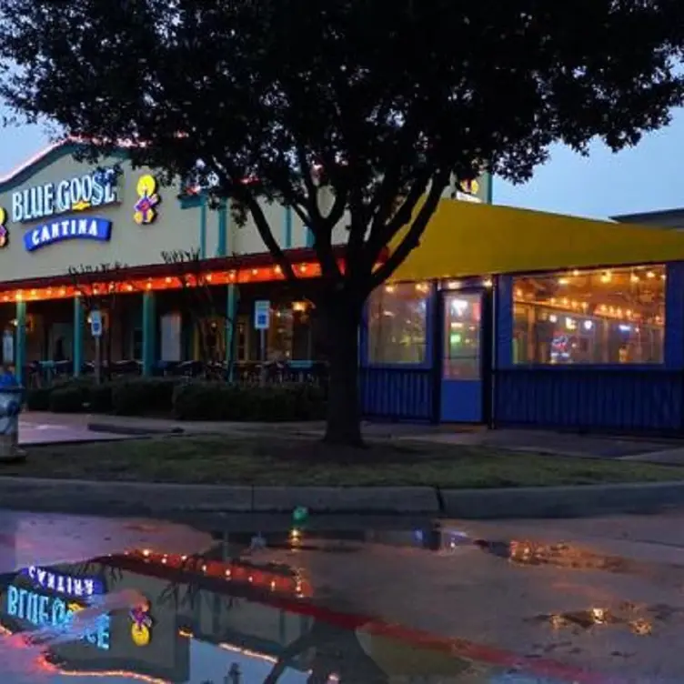 Blue Goose Cantina – McKinney