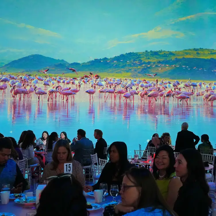 Illuminarium Immersive Dining