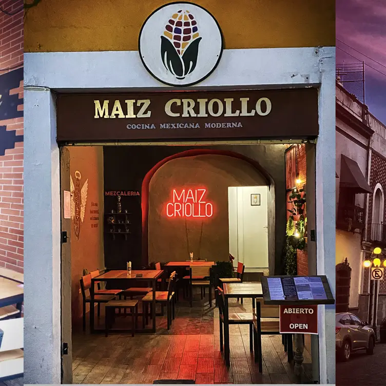 Maiz Criollo