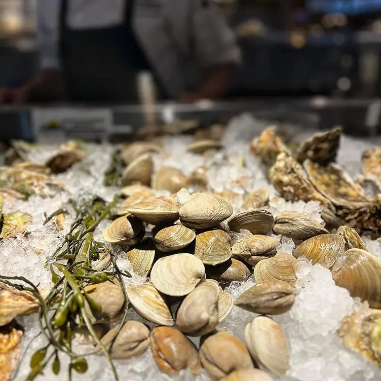 Providence Oyster Bar – East Greenwich