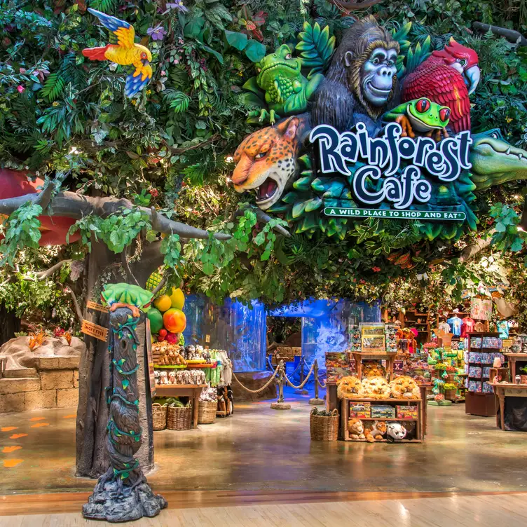 Rainforest Cafe – Ontario Mills