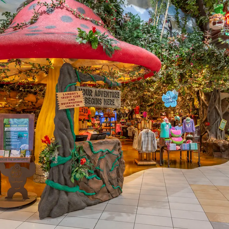 Rainforest Cafe – Opry Mills