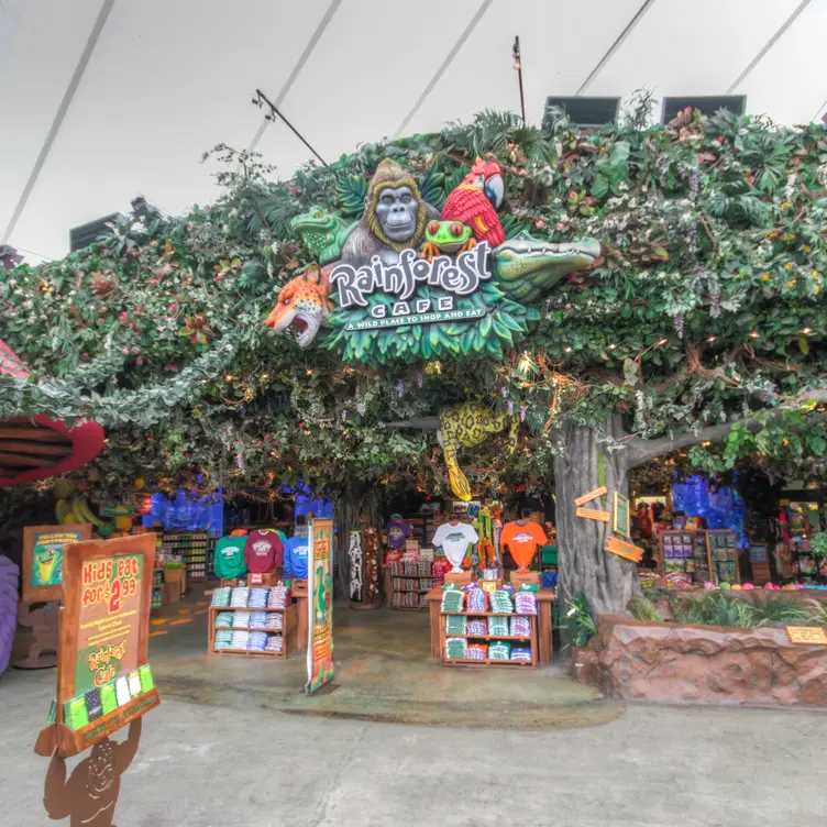 Rainforest Cafe – Sawgrass Mills (Ft. Lauderdale)