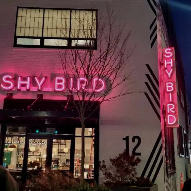 Shy Bird – South Boston