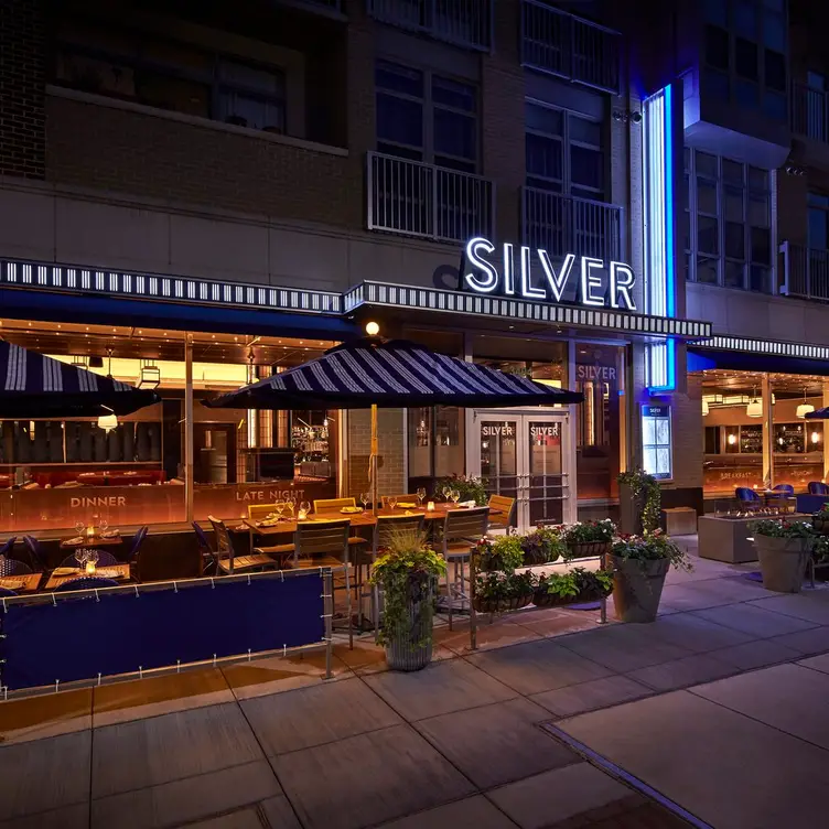 Silver – Cathedral Commons